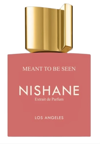 NISHANE MEANT TO BE SEEN EXTRAIT 10 ml
